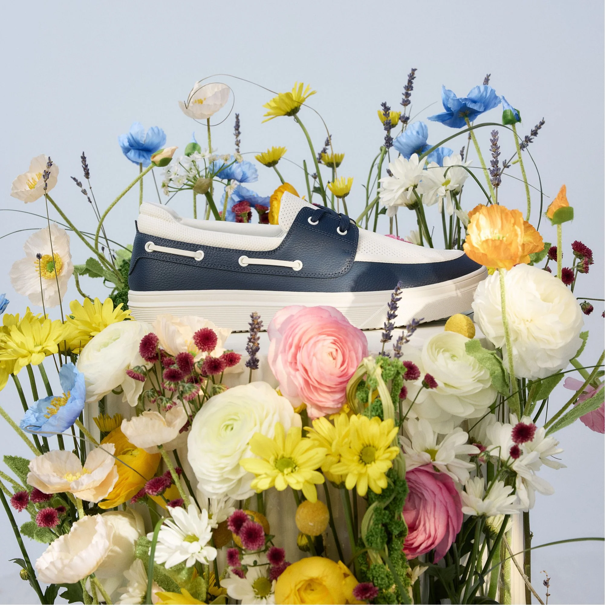 Wildwave - Image 11