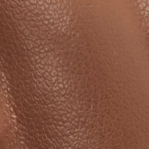 Xara - Image 7