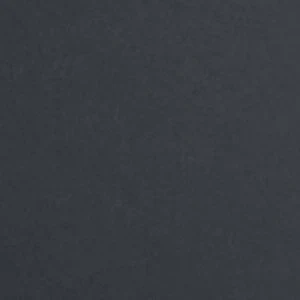Xavier - Image 8