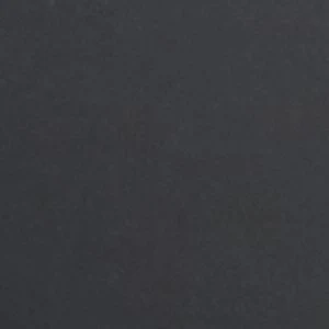 Xavier - Image 8