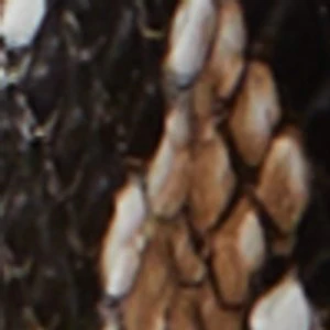 Youra - Image 6