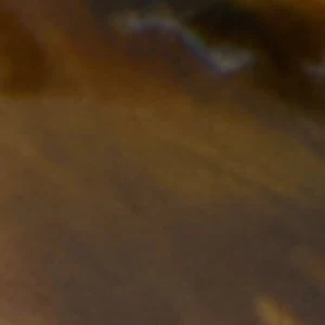 Zaraya - Image 2