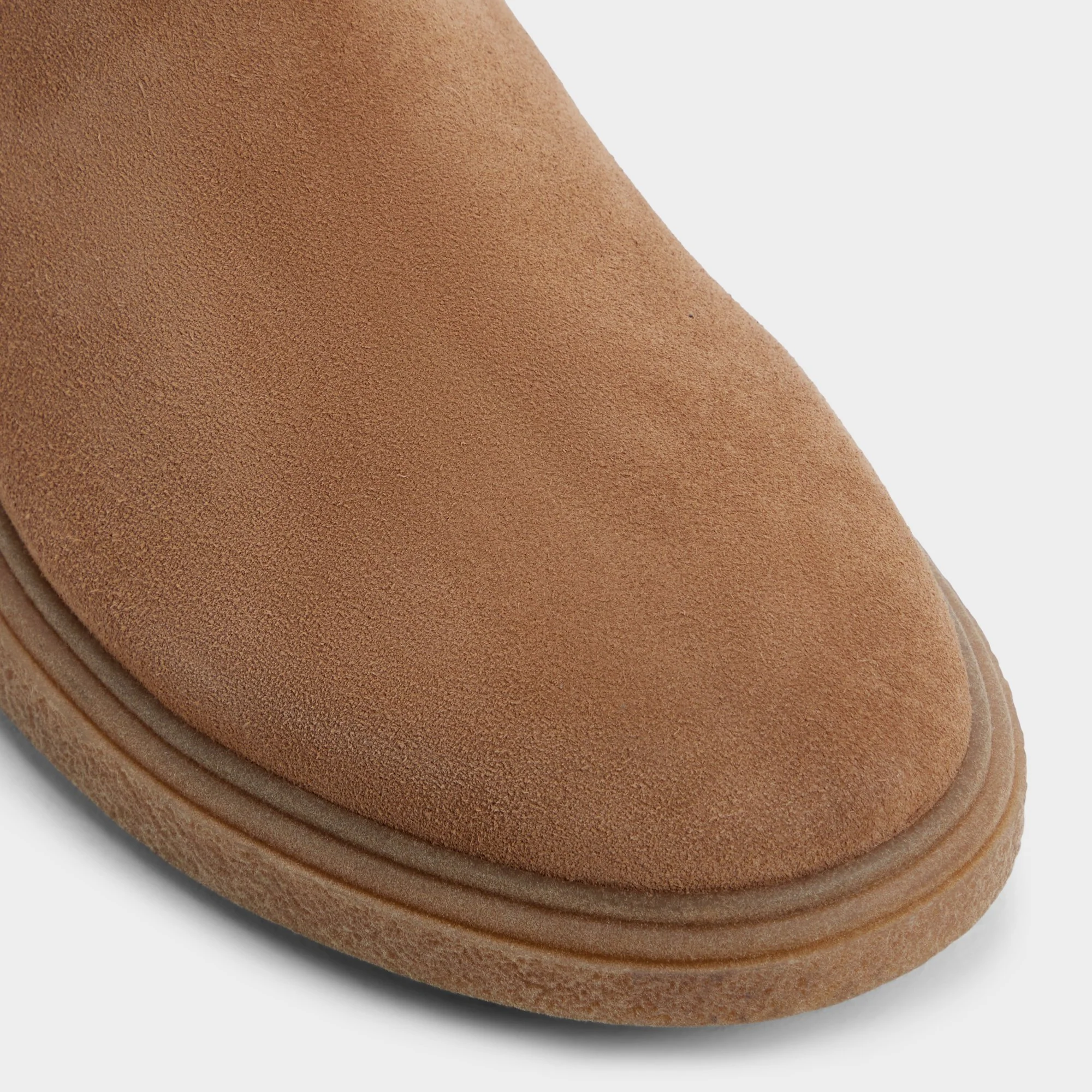 Zeddy - Image 5