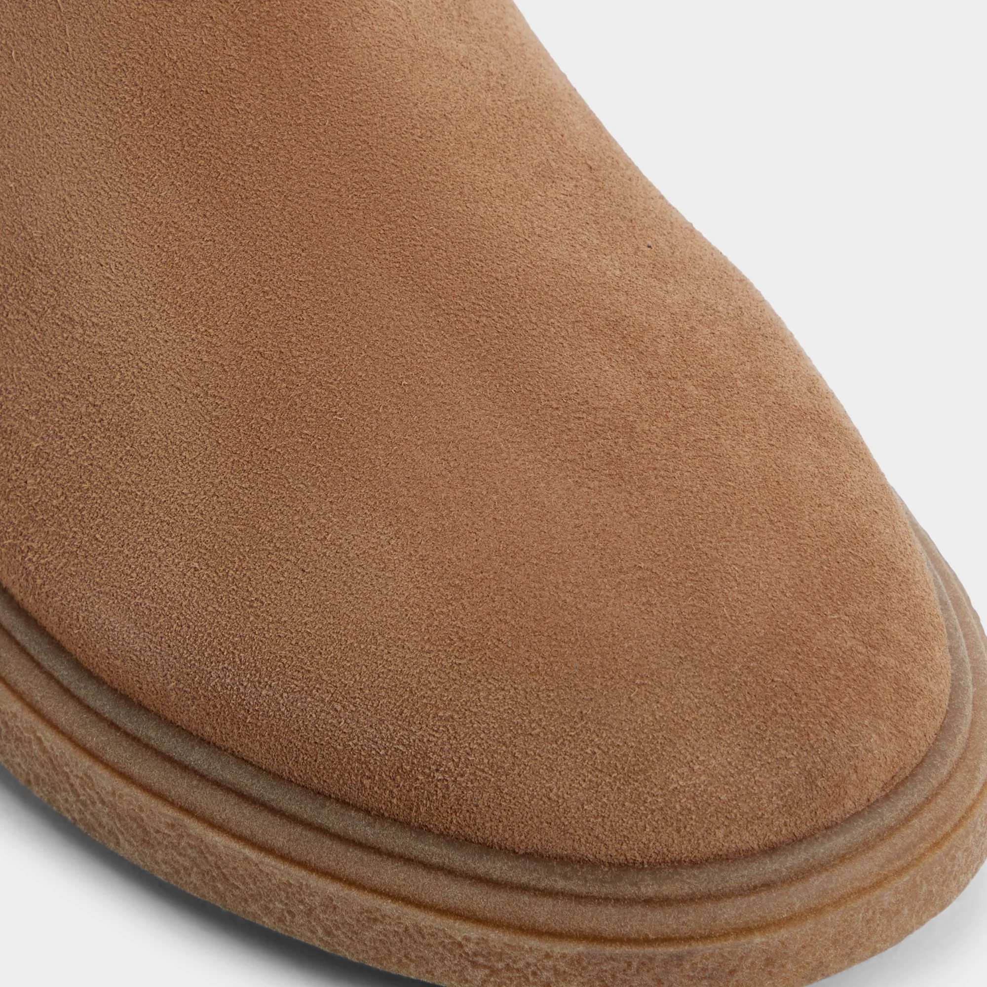 Zeddy - Image 8