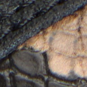 Zethan - Image 8